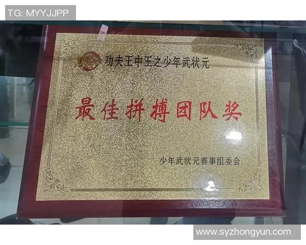 南京乒乓球队全国锦标赛拼搏历程展现团队精神与奋斗不息的决心